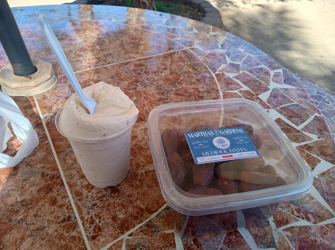 Martha's Gardens Medjool Date Farm-尤马必去景点