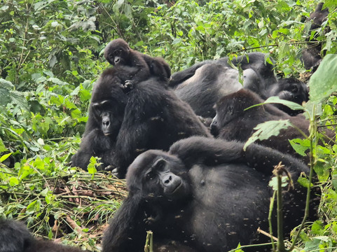 Frena Adventures-吉佳利必去景点