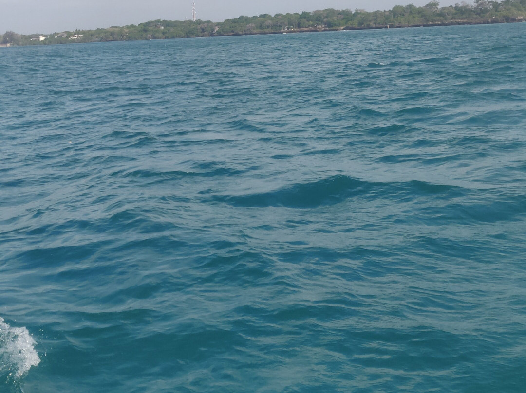 Wasini's Blue Whale Boat Operators-Wasini Island必去景点
