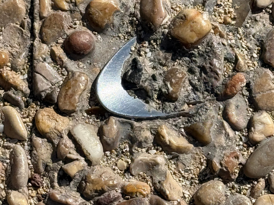 The Spoon In Concrete景点图片
