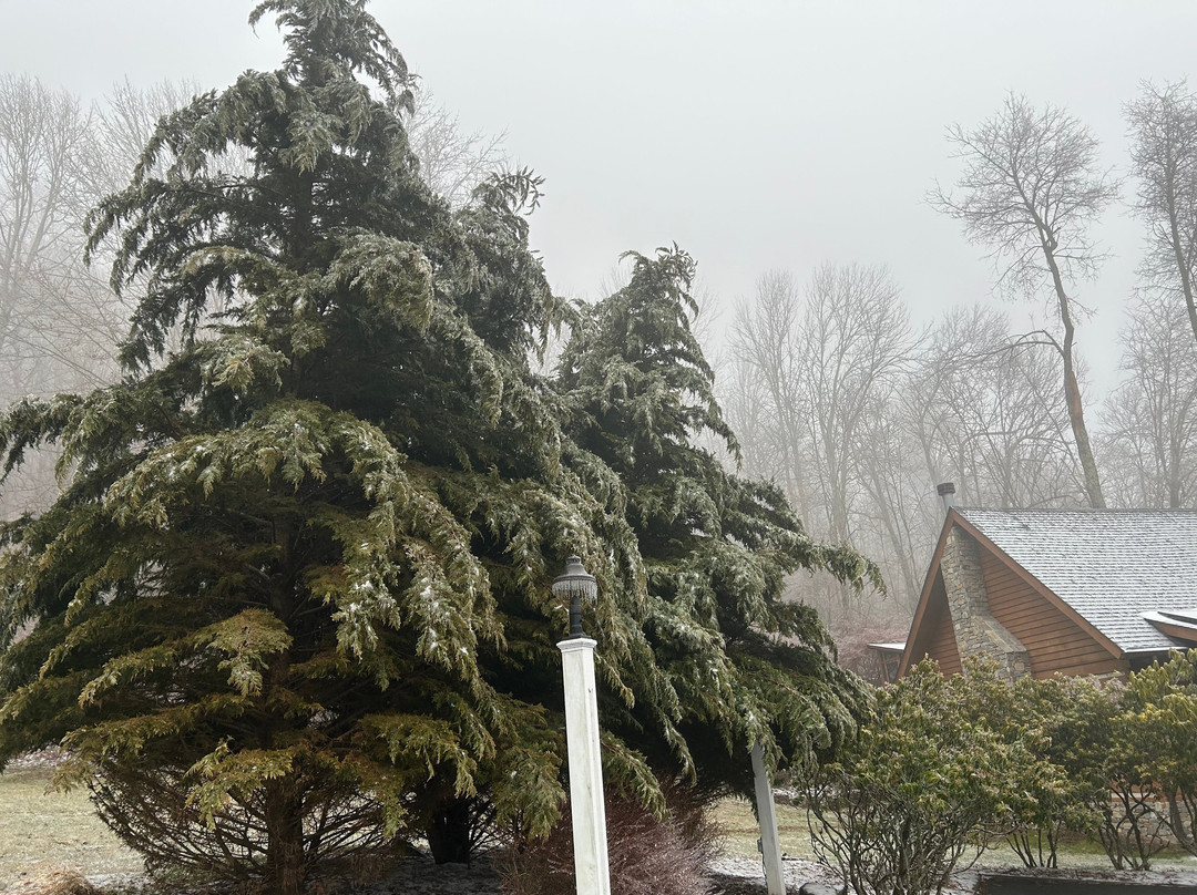 Lovill House Inn主图