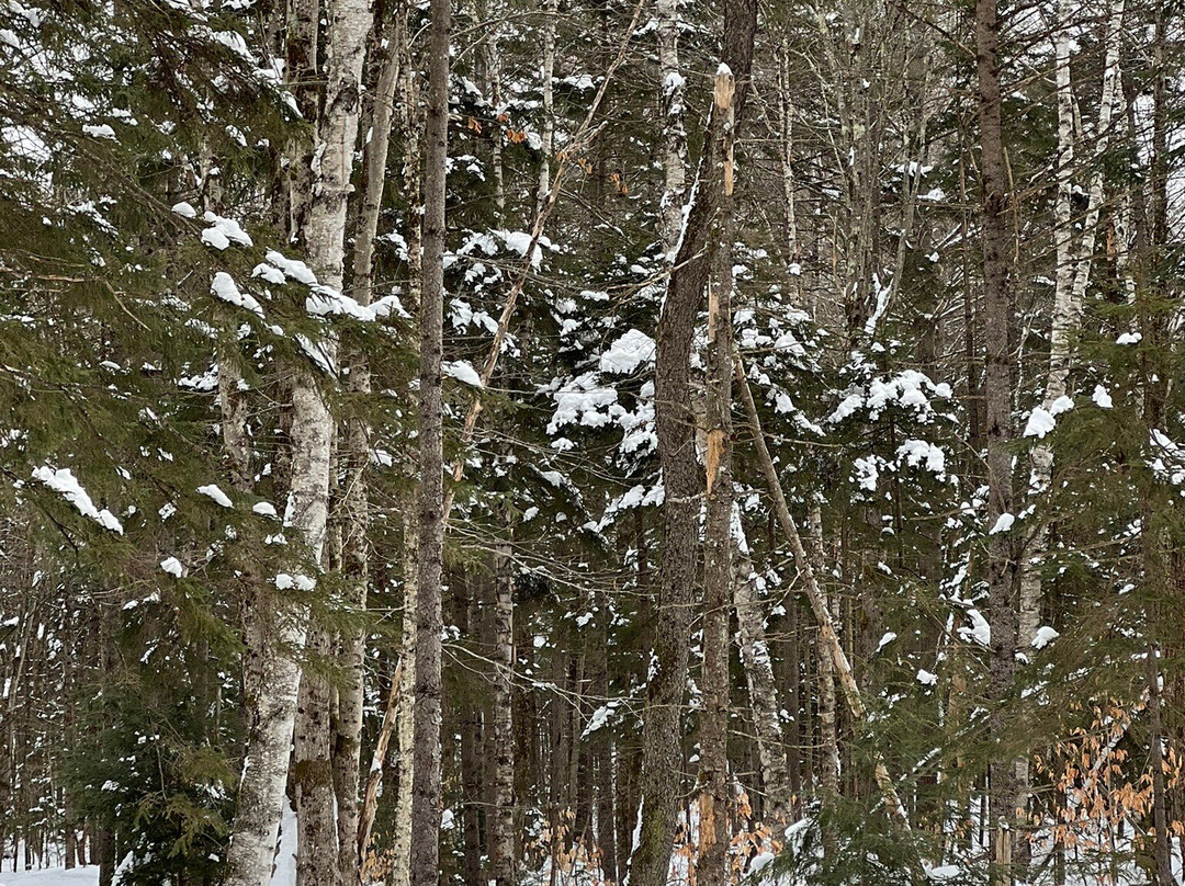 Wild Wings Ski and Yoga-Peru必去景点