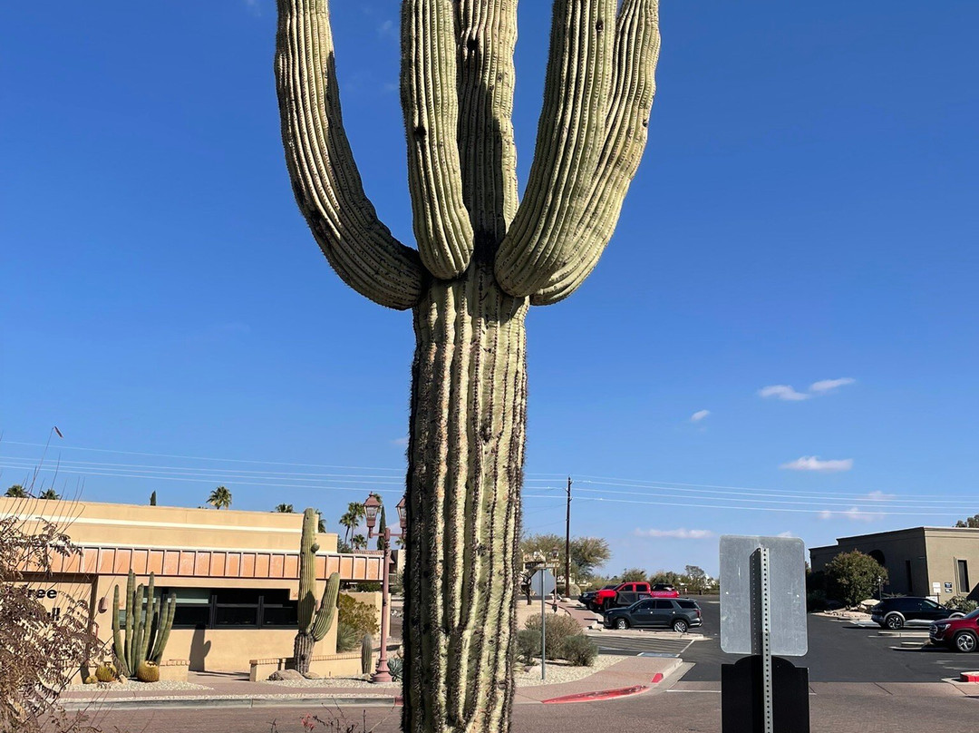Phallic Rock-凯尔福利必去景点