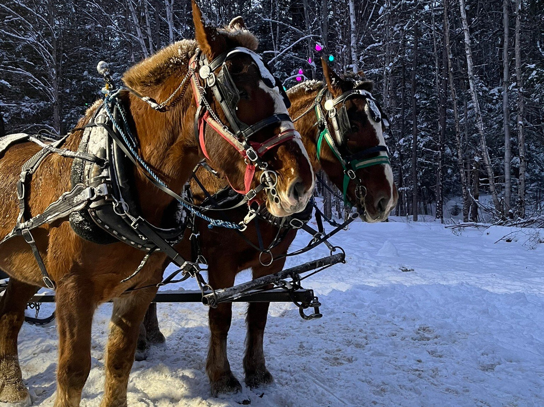 Ice Castles-Woodstock必去景点
