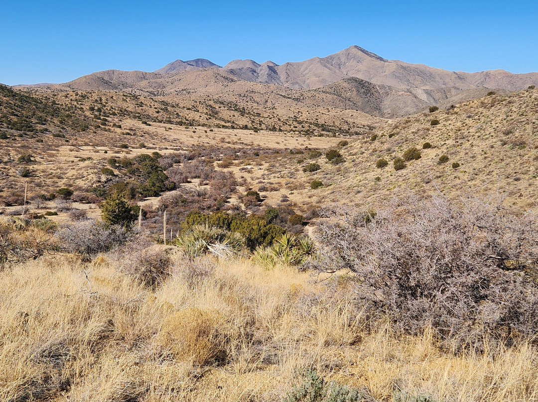 Fort Bowie National Historic Site-Willcox必去景点