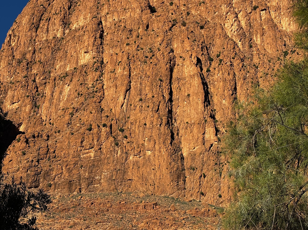 Morocco Global Adventures-卡萨布兰卡必去景点