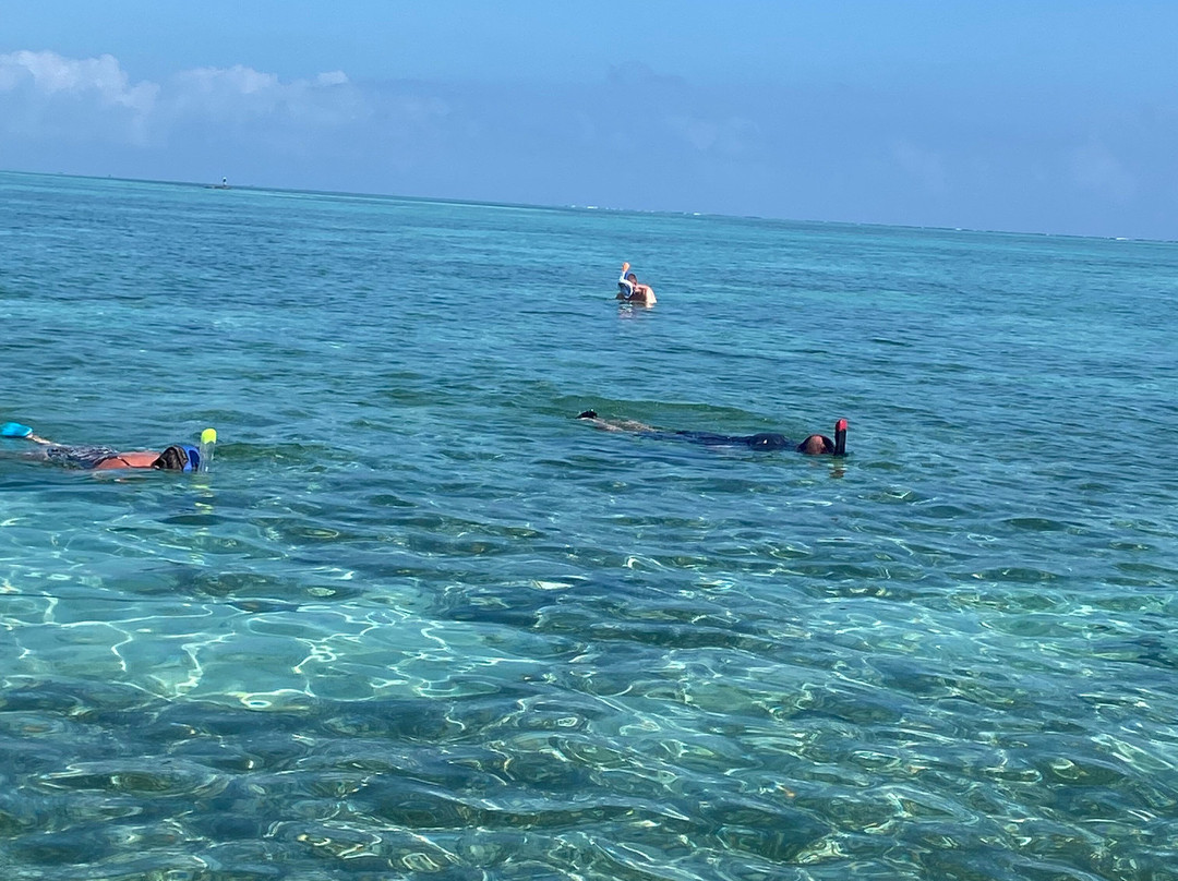 Nicolas Zanzibar Tours-帕杰必去景点