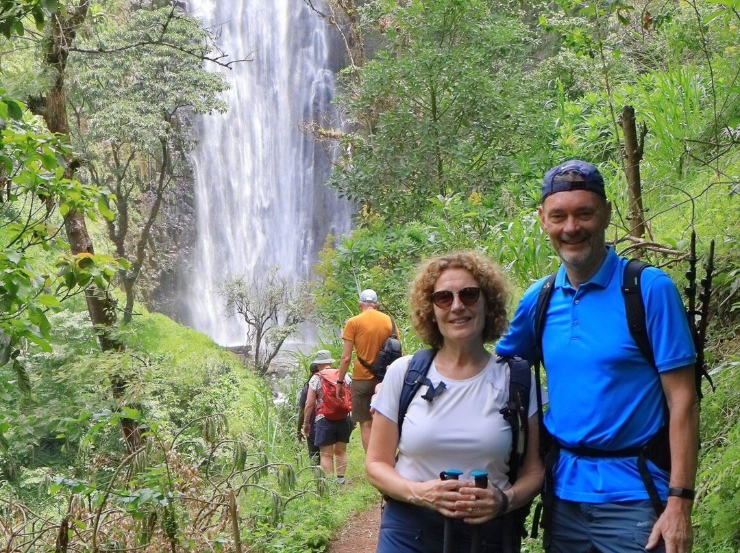Kilimanjaro Scenic Lodge主图