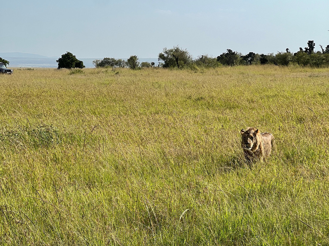 Southern Cross Safaris-温德和克必去景点