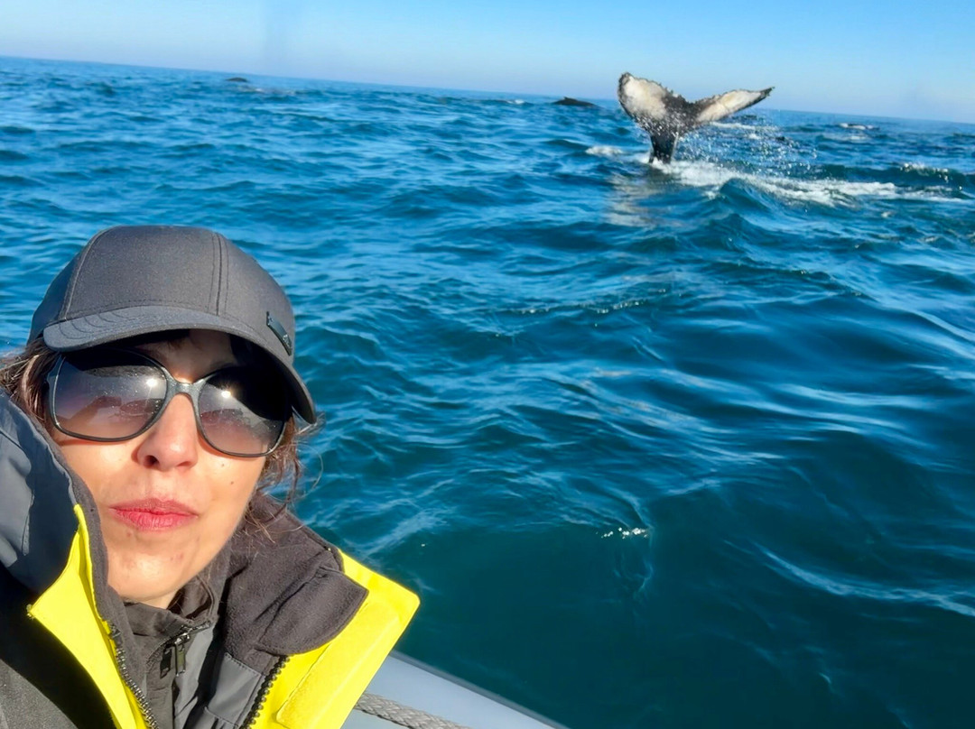 Whale Expedition SA-Yzerfontein必去景点