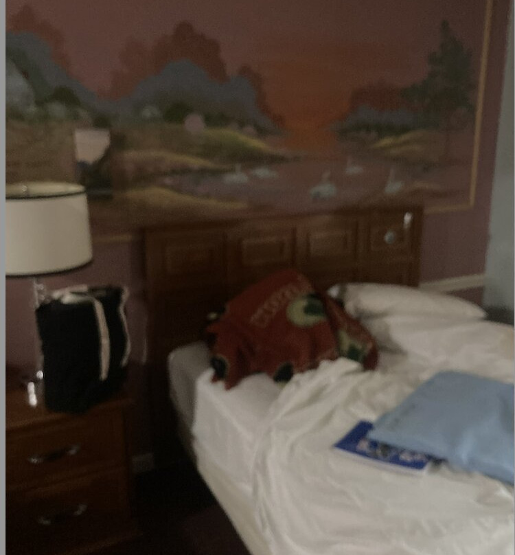 Village Inn Motel主图