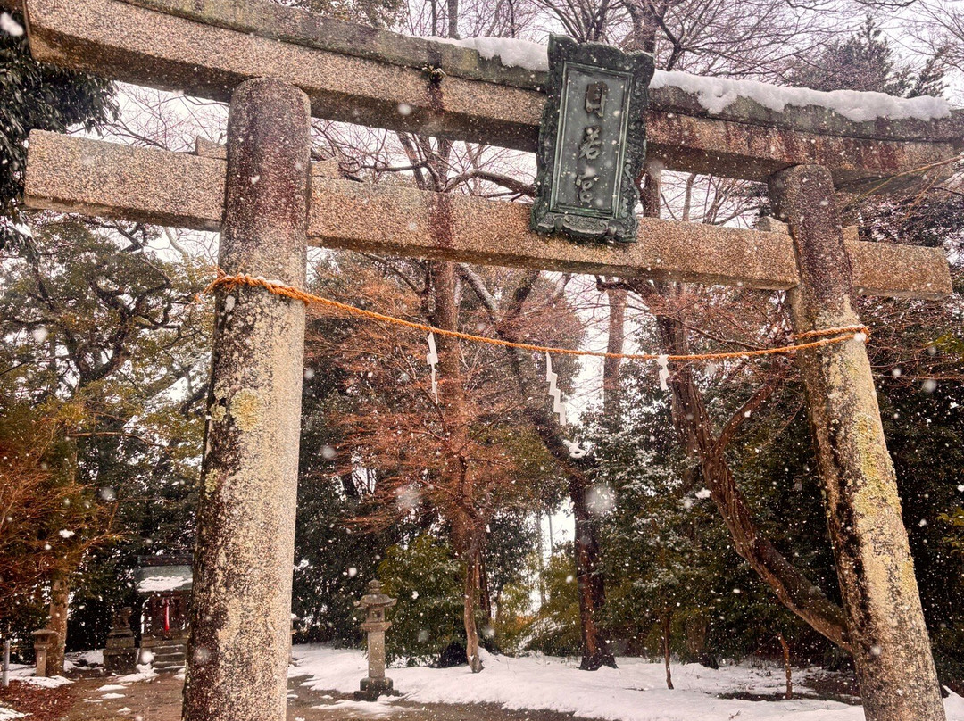 Nichiwakamiya Shrine景点图片