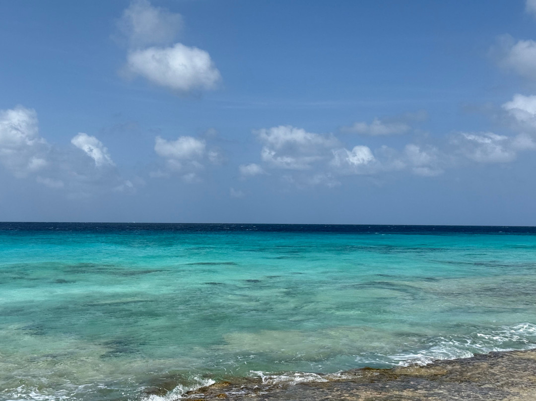 Salt Pier-Kralendijk必去景点