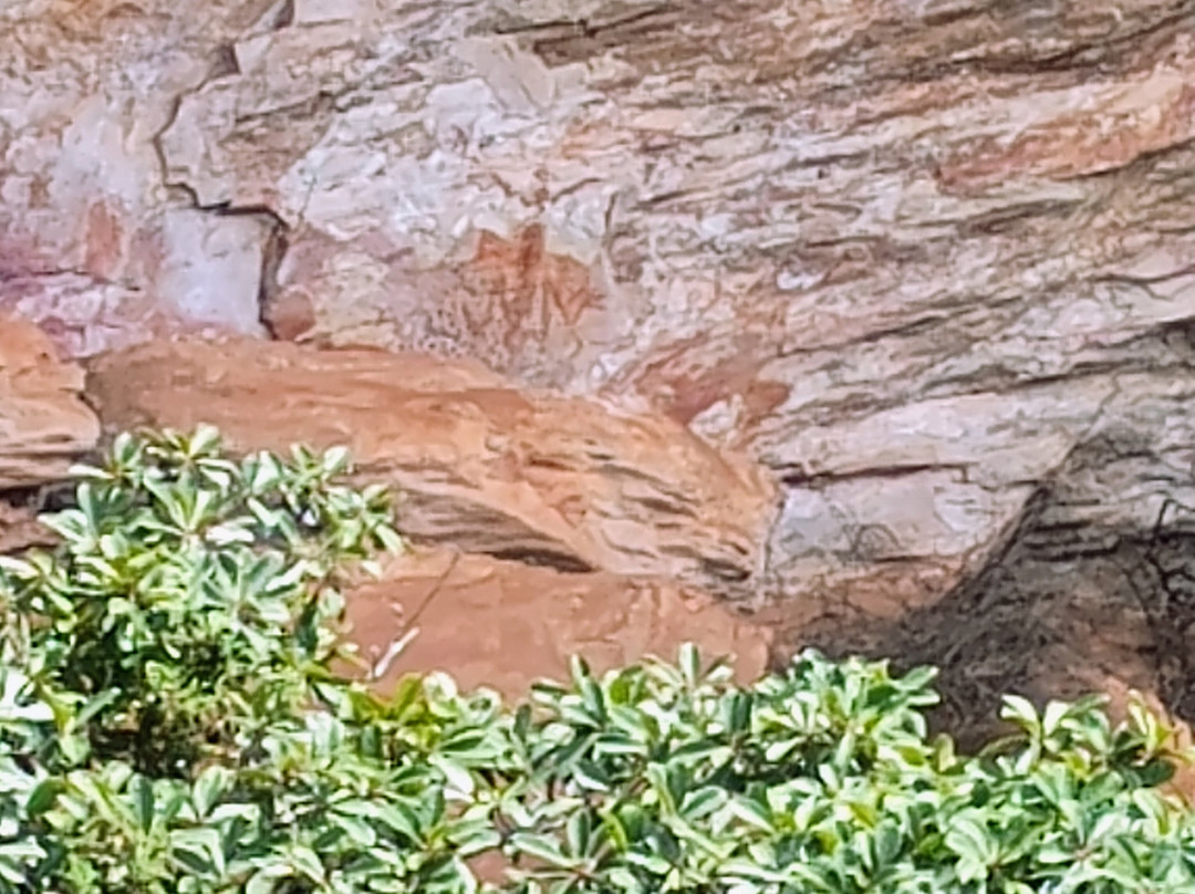 Sítio Arqueológico da Pedra Pintada景点图片