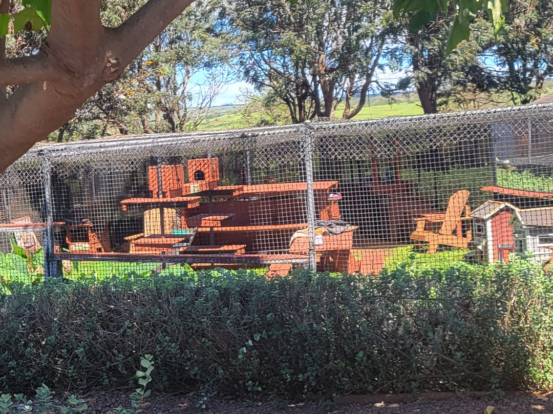 拉奈动物救援中心-拉奈市必去景点