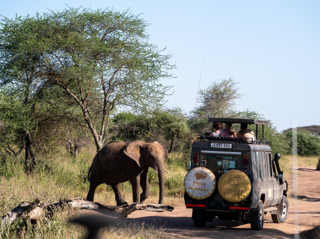 Priva Safaris and Adventures-姆万扎必去景点