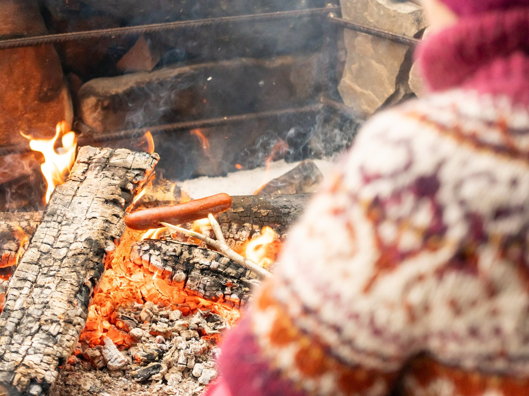 Soundforest - Sointumetsä-Keminmaa必去景点