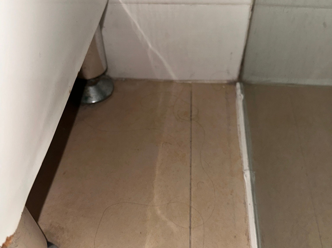 最佳西方双塔酒店主图