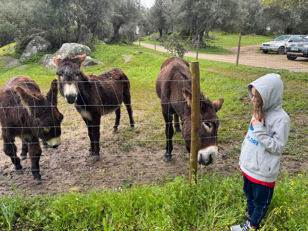 Monte do Serrado de Baixo主图