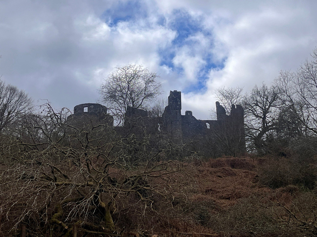 Dinefwr Castle景点图片