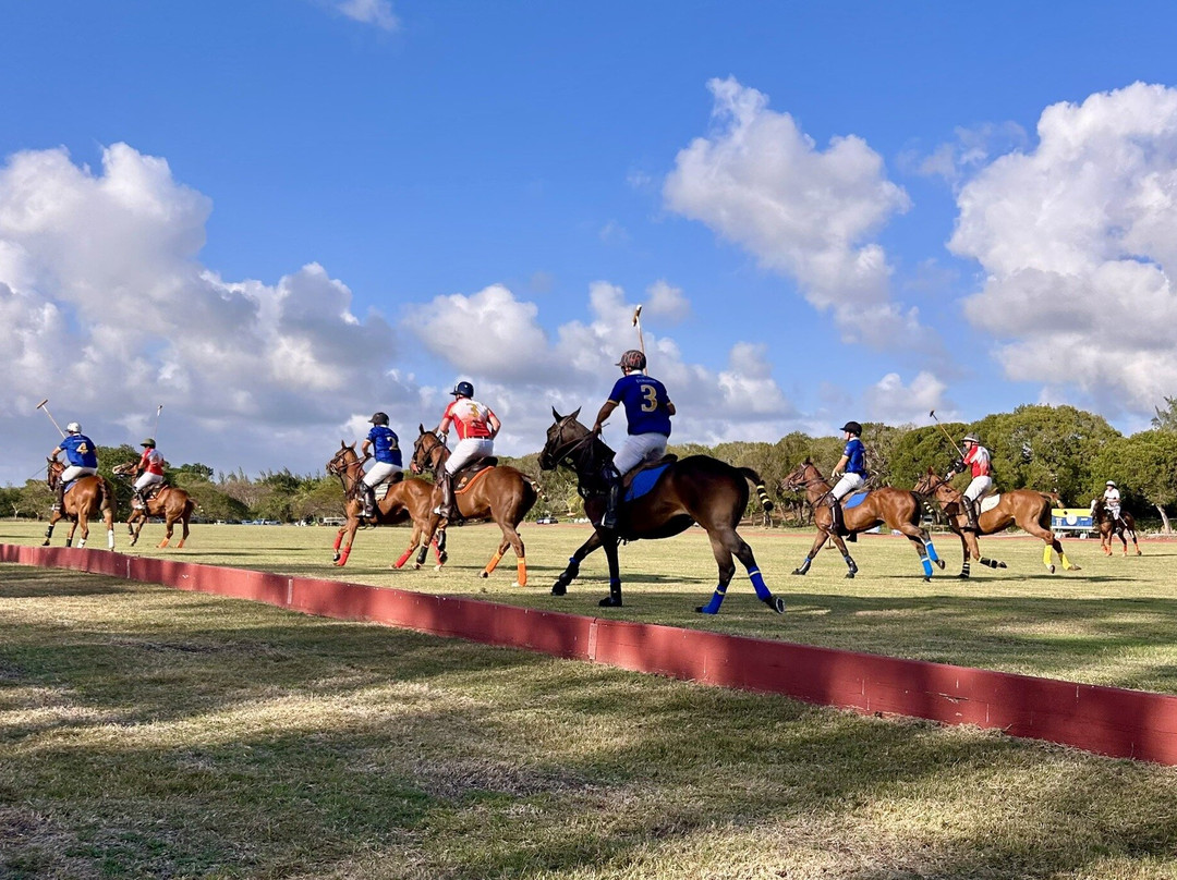 Barbados Polo Club-圣詹姆斯必去景点