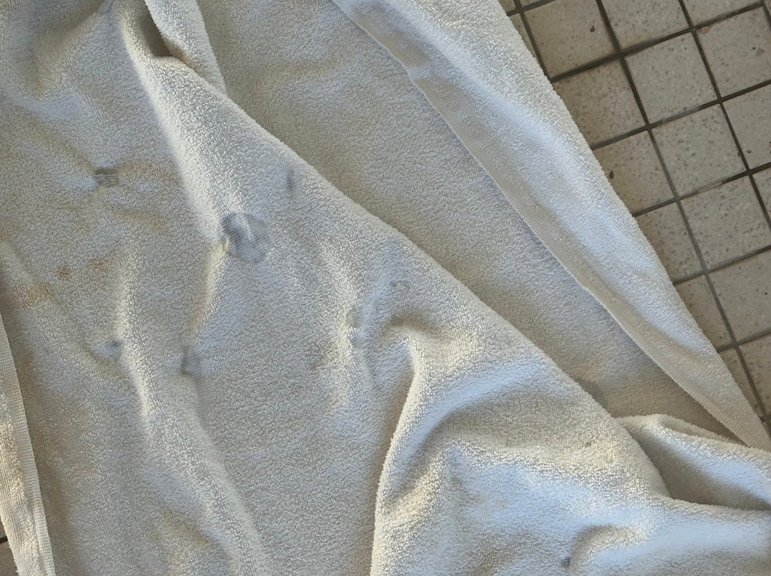 Comfort Suites University主图