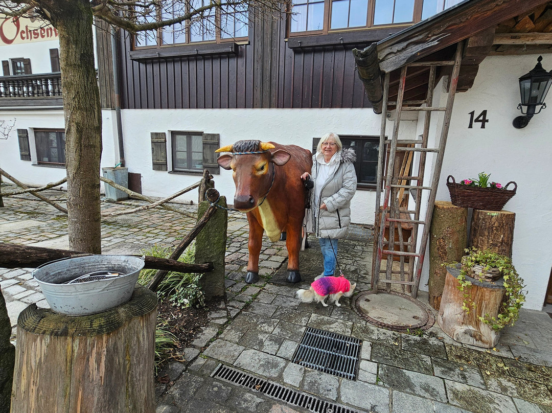 Gasthof Ochsenwirt主图