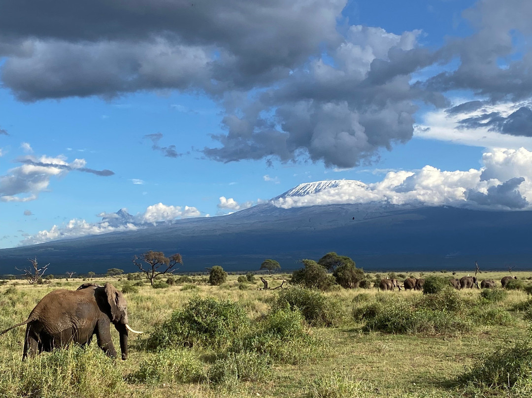 Gametrackers-Rongai必去景点