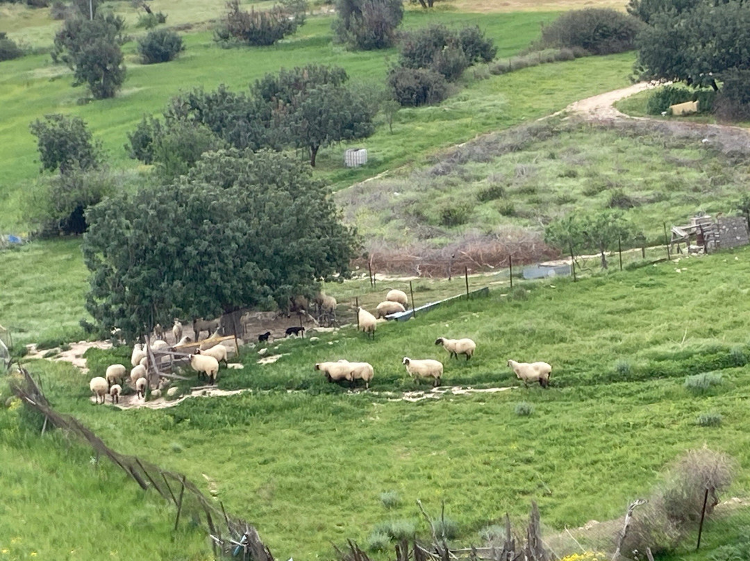 Pissouri Village Square-皮索里必去景点