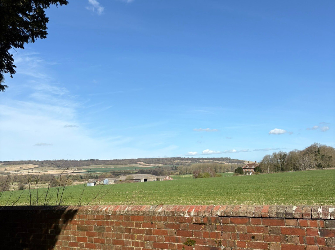 The New Flying Horse Inn主图