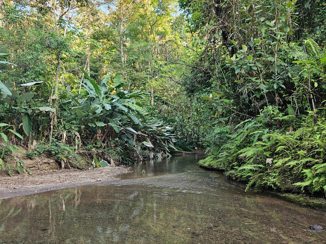 Corcovado Tour Guiding Services景点图片