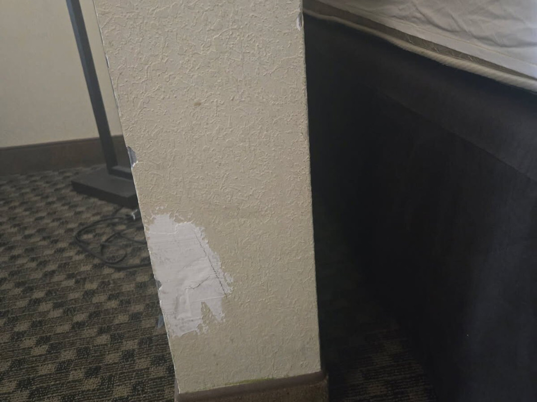 Comfort Suites Forsyth Near I-75主图