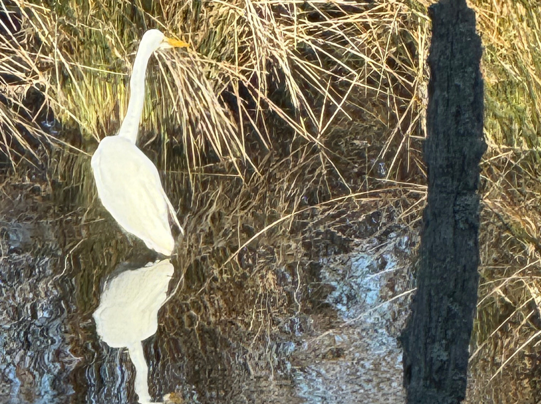 Cypress Moon Inn主图