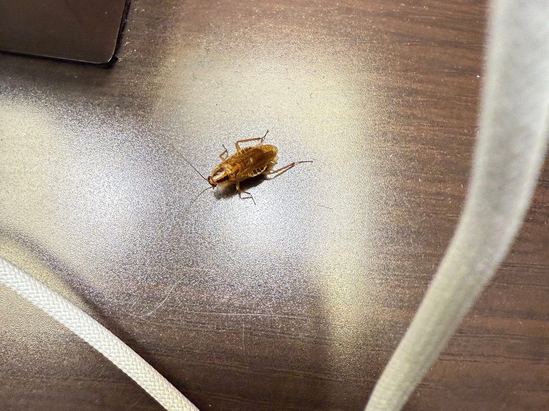 La Quinta Inn & Suites by Wyndham Smyrna TN - Nashville主图