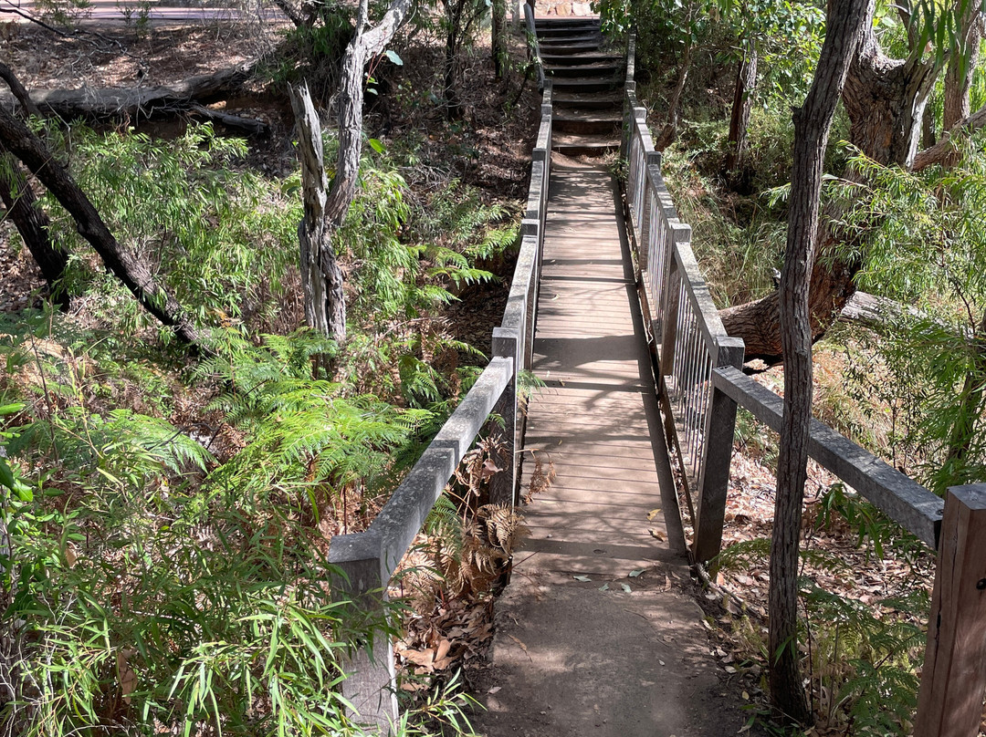 Meelup Reserve Trail景点图片