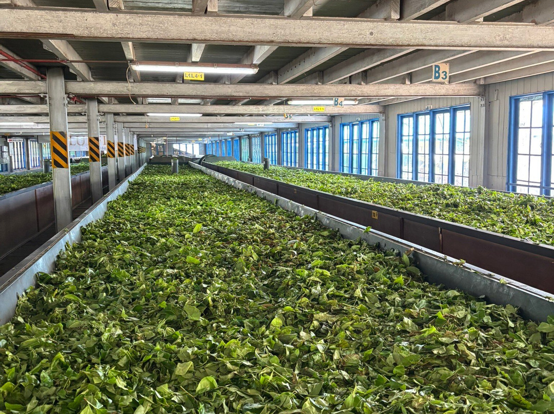 lasan lasan-Nanu Oya必去景点