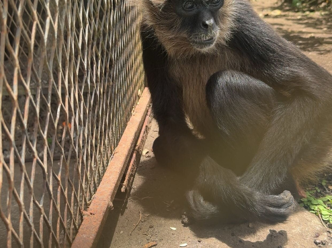 Jungla de Panama Wildlife Refuge景点图片