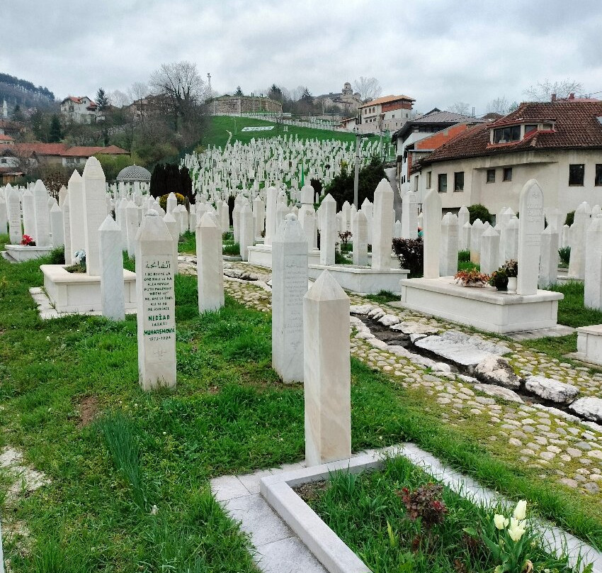 Alifakovac Cemetery-萨拉热窝必去景点