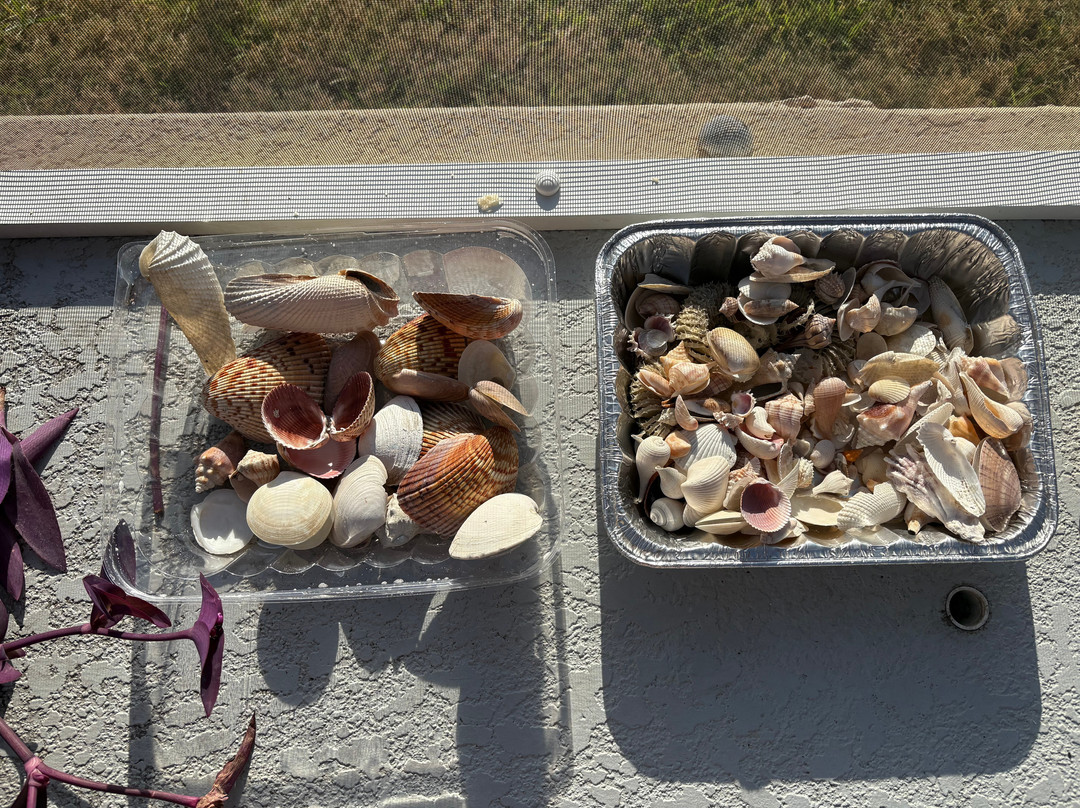 Four Mile Cove Ecological Preserve-开普科勒尔必去景点