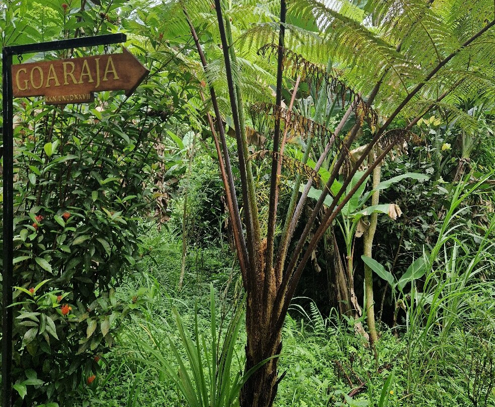 Goa Raja Waterall-Tembuku必去景点