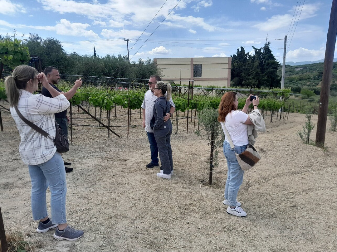 Fournarakis Winery-Episkopi必去景点