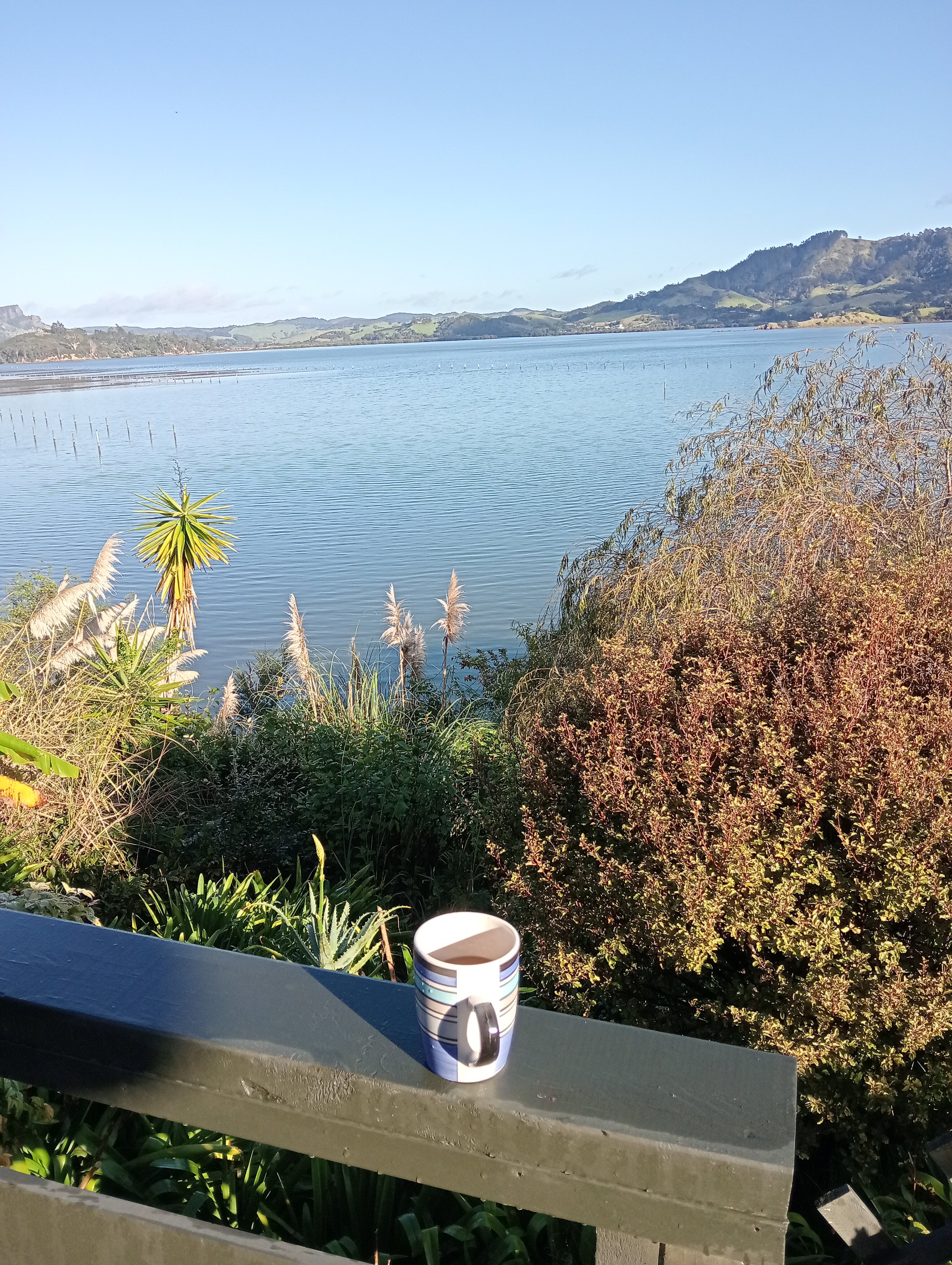 Pacific Harbour Lodge-官方