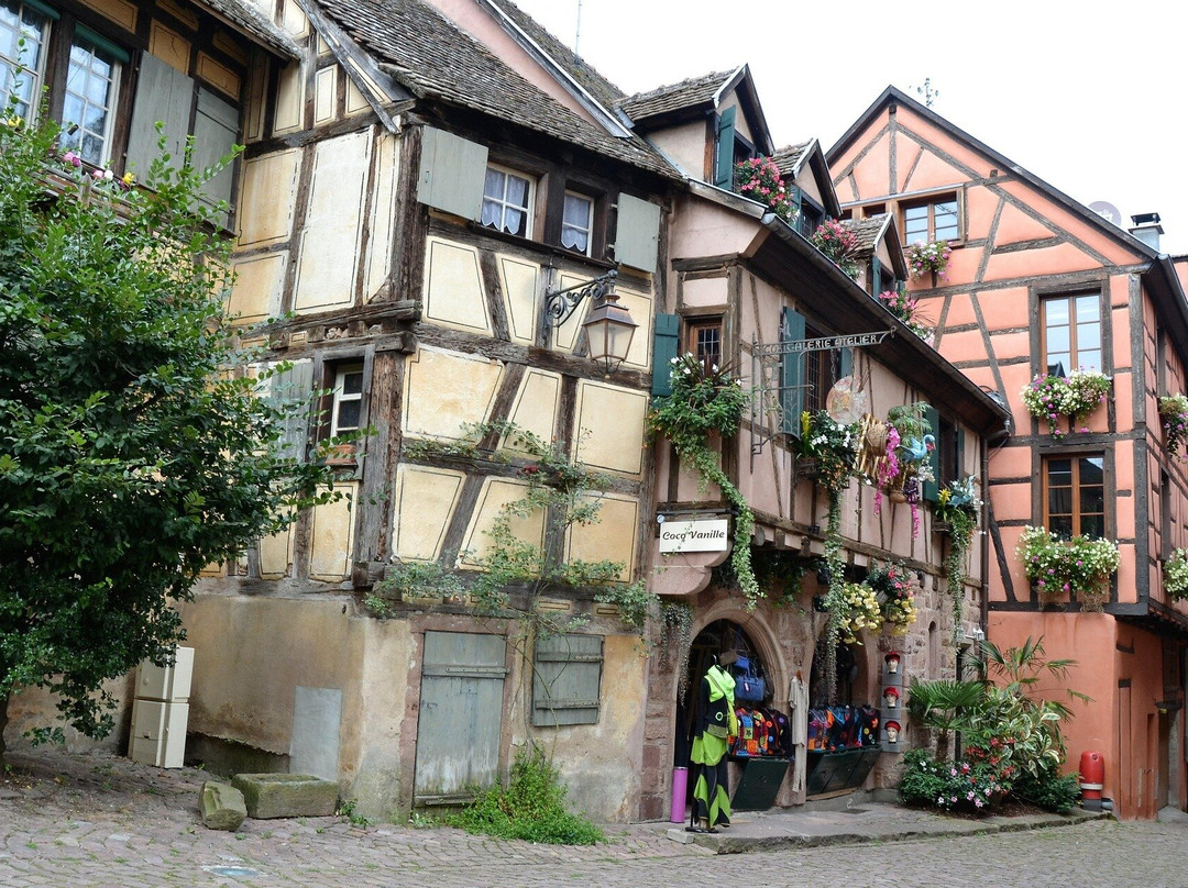 Tournava Service Private Limited-科尔马必去景点