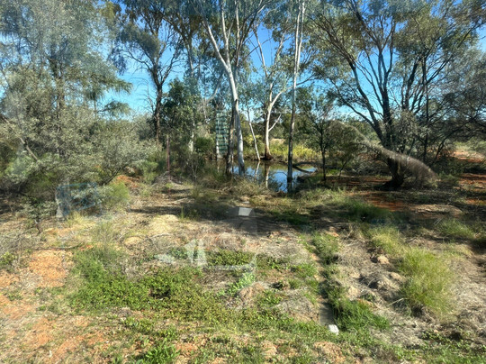 Artesian Mud Baths Eulo-Eulo必去景点