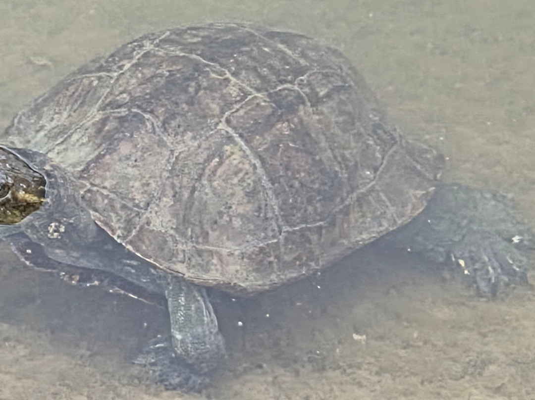 Lake Agias-Agia必去景点