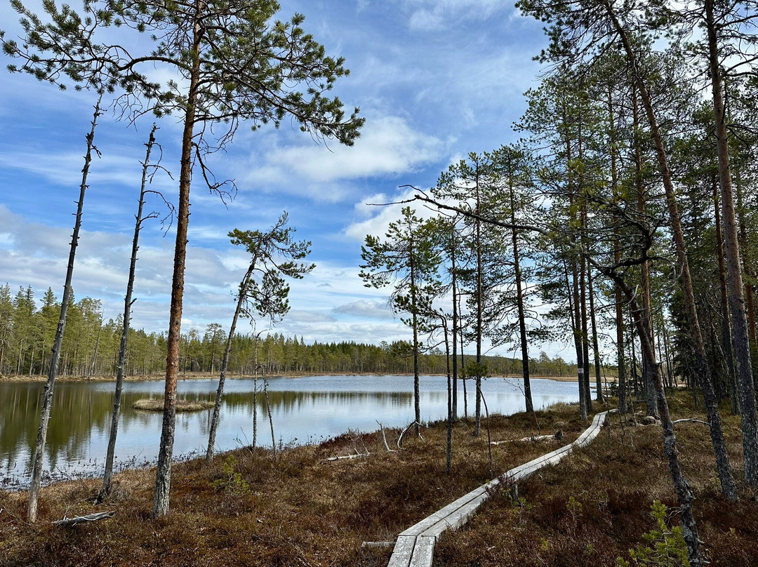 Hamra National Park-Ljusdal必去景点