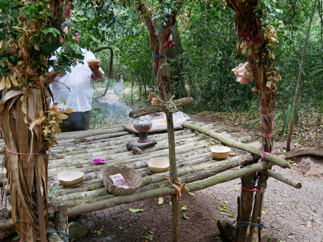 Punta Laguna Nature Reserve-图伦必去景点