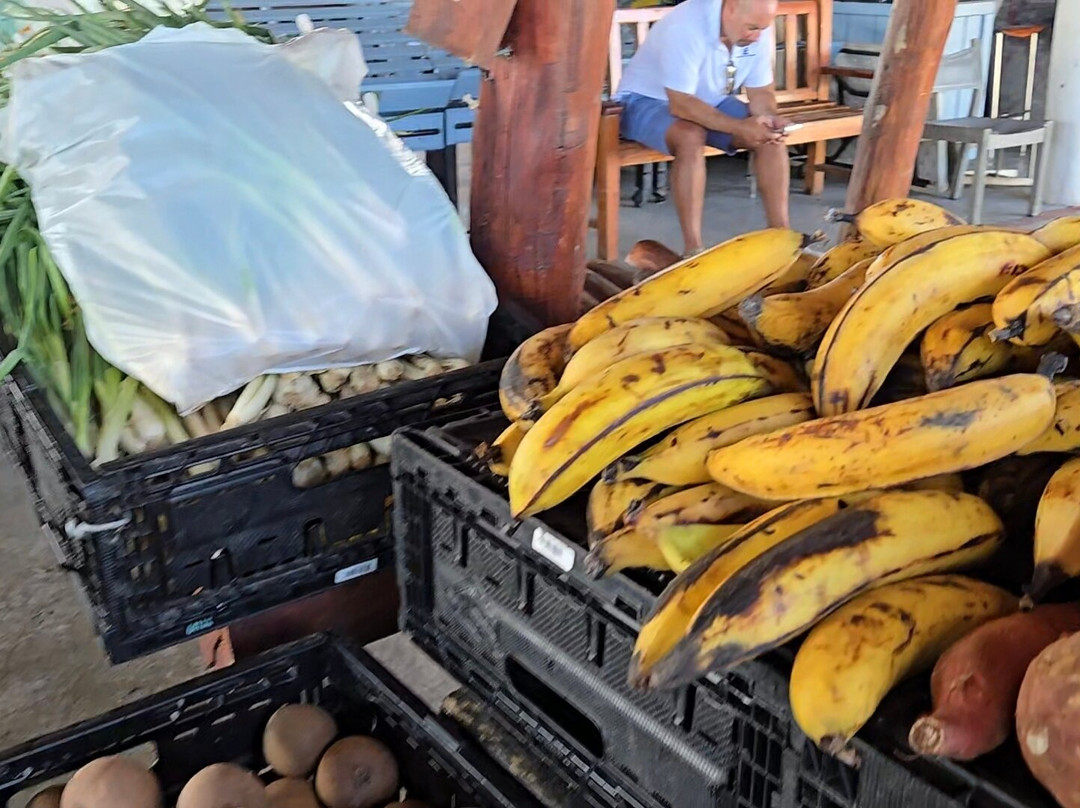 Farm Fresh Direct-乔治城必去景点