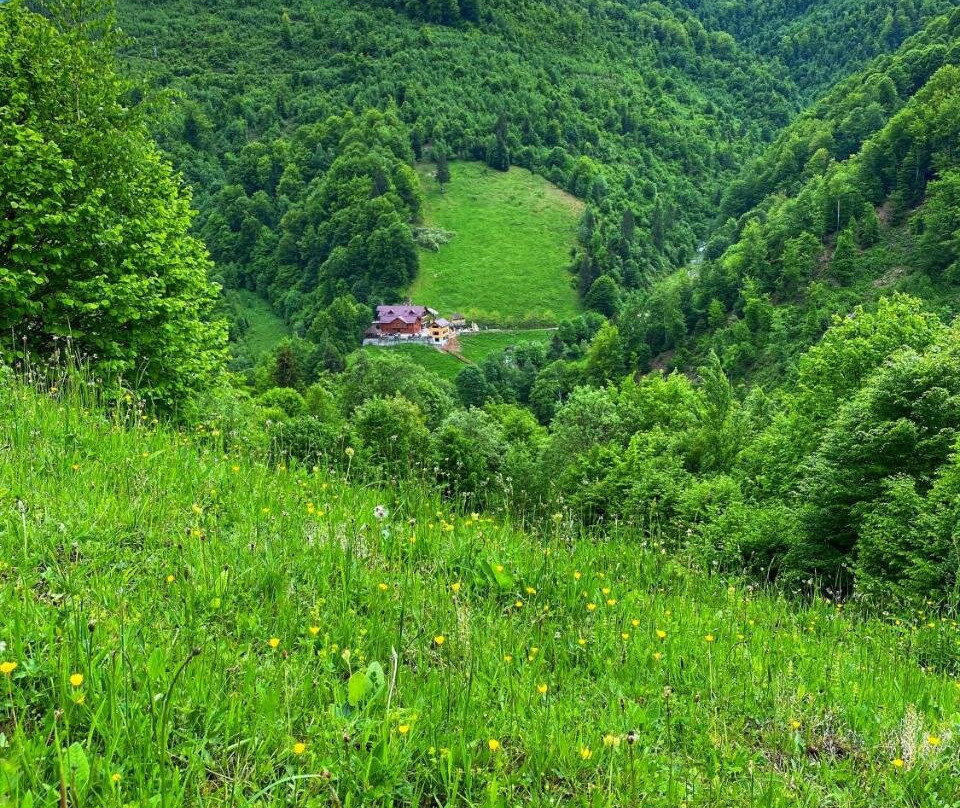 Pensiunea Valea Rasului