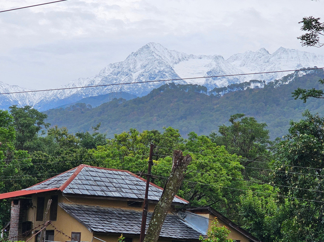 Darang Tea Estate主图